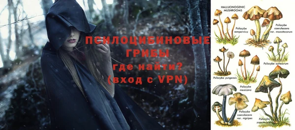 герыч Осинники